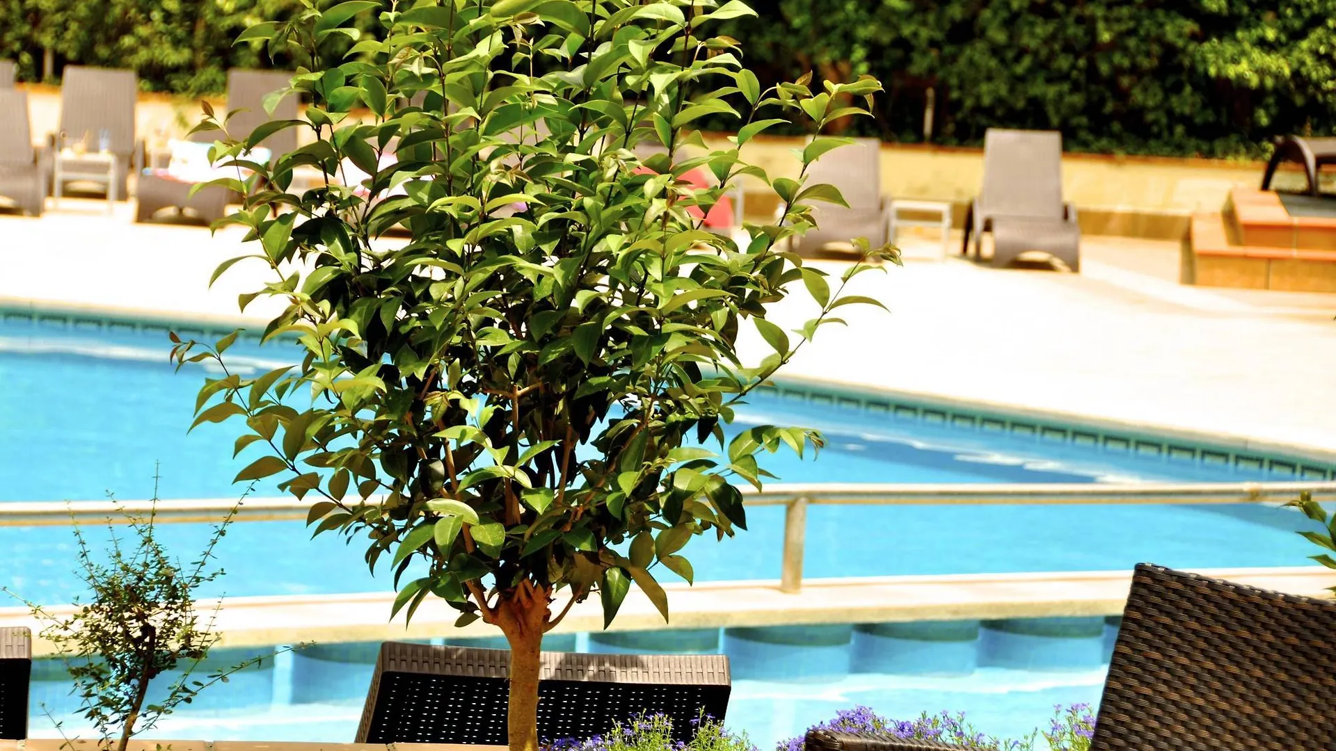 Ipanema Park Hotel El Arenal